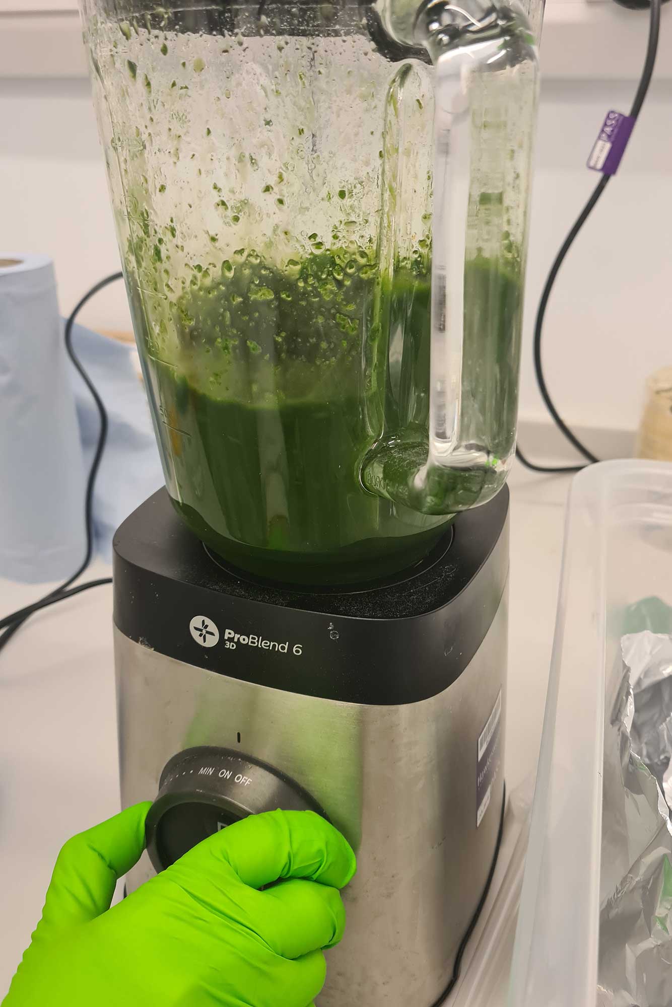 Plant material being processed as part of Laura Burgess Tornaletti’s research